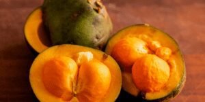 Pequi a fruta marcante e versátil